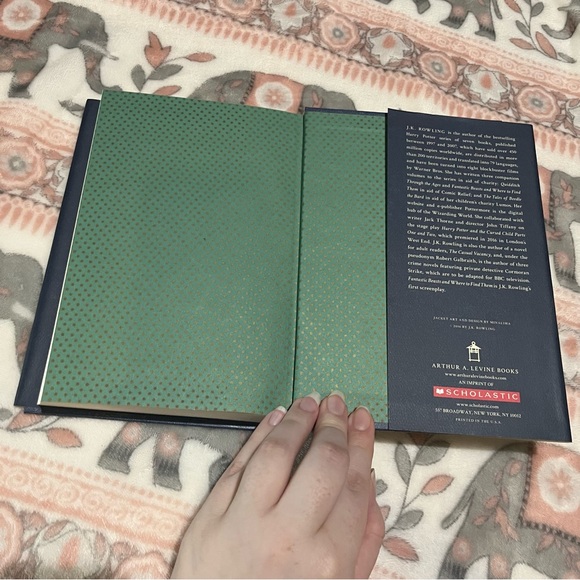 Fantastic Beasts The Original Screenplay - Picture 11 of 12